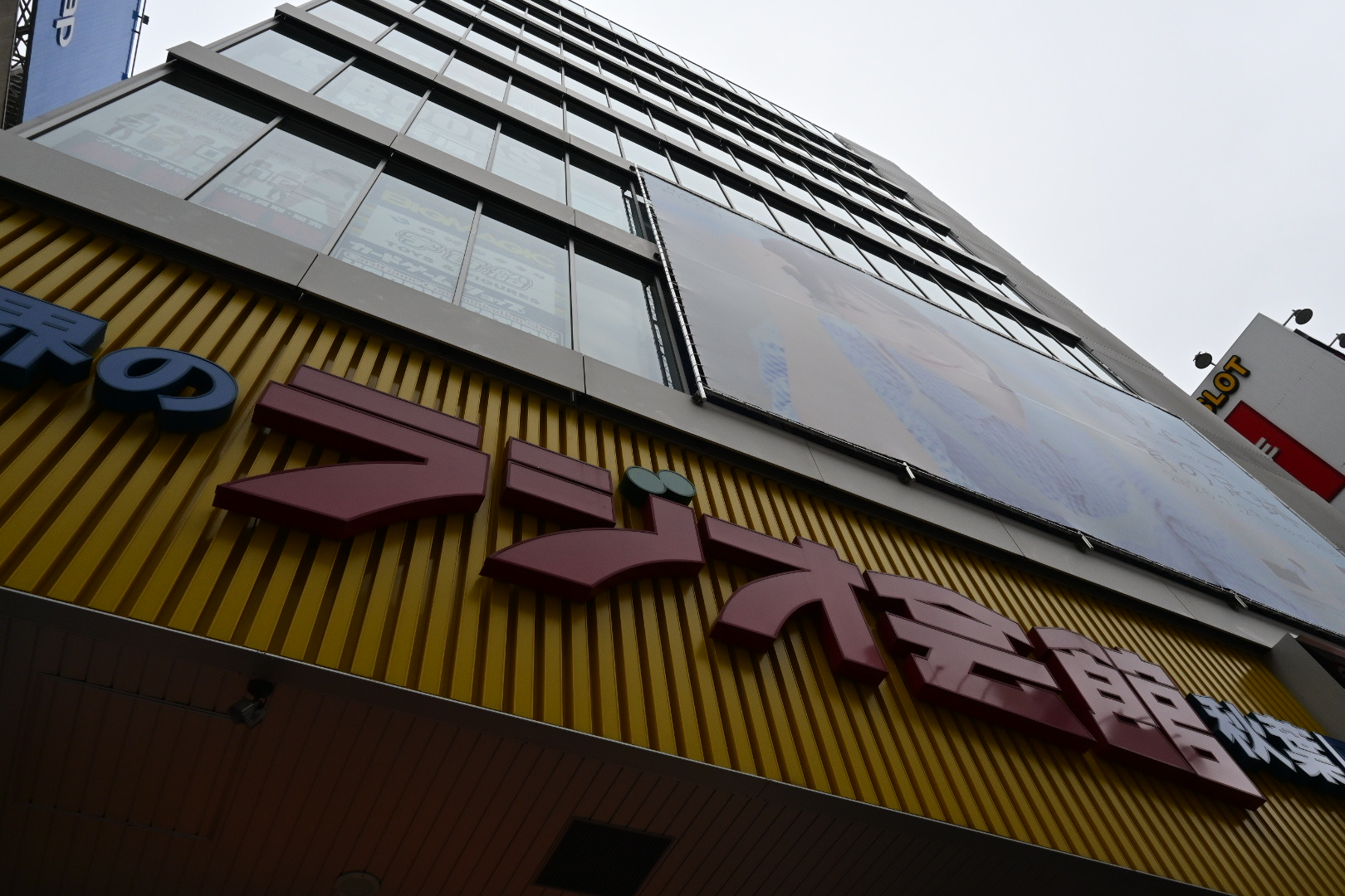 Akihabara Radio Kaikan (Goal)